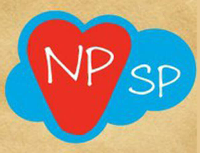 Choosing Between the NPSP and Standard EE