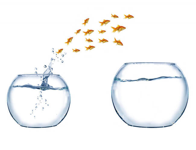 At Project's End: Separation Anxiety and User Adoption