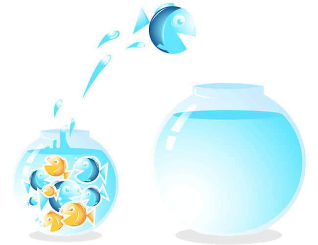 Don't Be a Fish Out of Water: Preparing for a Salesforce Migration