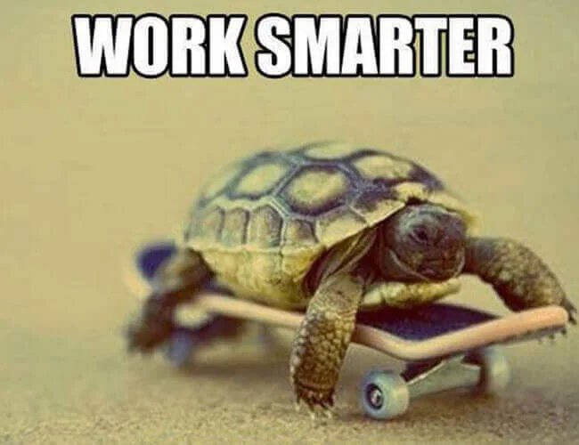 A turtle riding a small skateboard. Text: WORK SMARTER