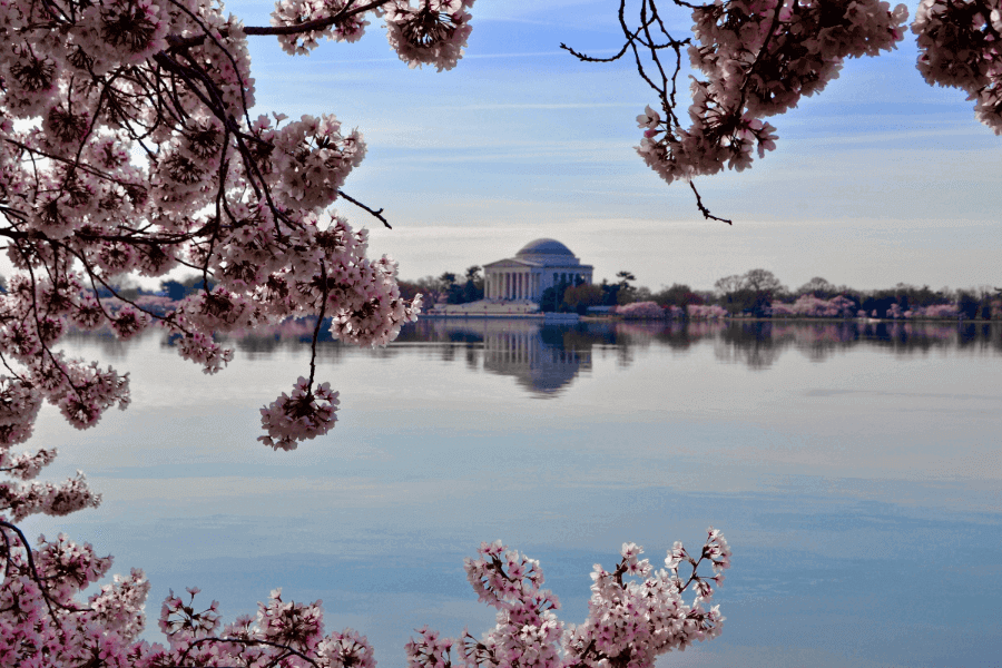Come See Us at the Salesforce World Tour in Washington, DC!