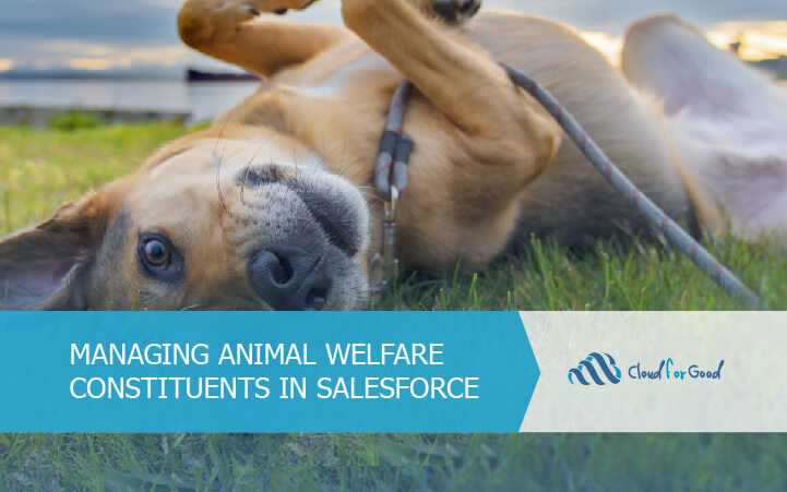 Salesforce: Managing Animal Welfare Constituents