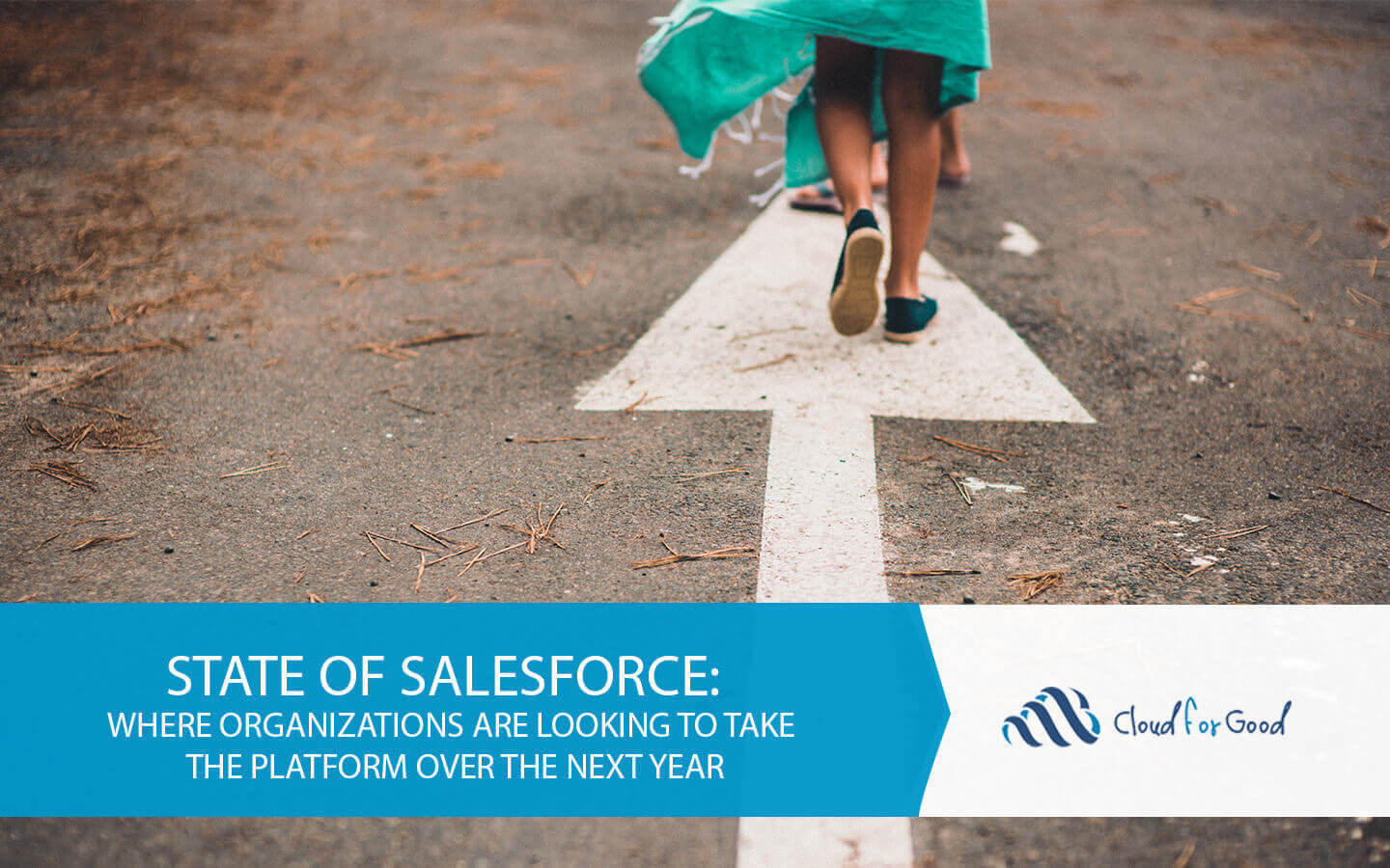 State of Salesforce: Where Organizations are Looking to Take the Platform Over the Next Year
