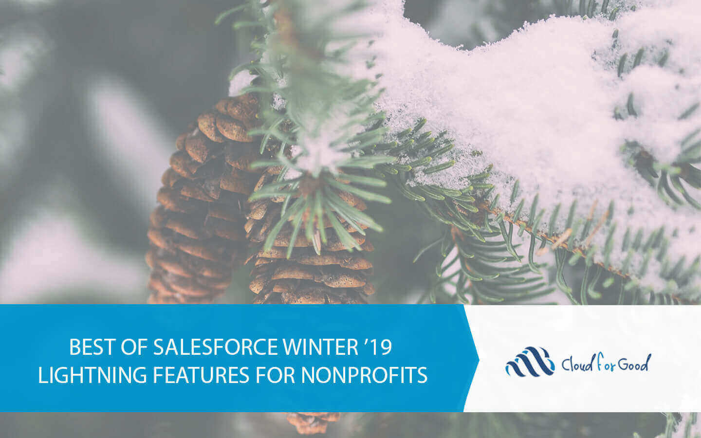 BEST OF SALESFORCE WINTER ’19 LIGHTNING FEATURES FOR NONPROFITS