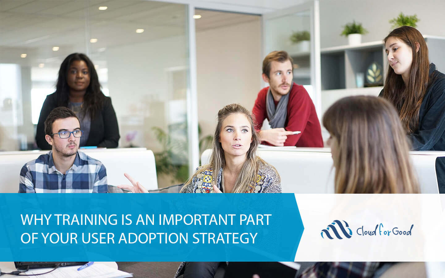 Why Training is an Important Part of your User Adoption Strategy