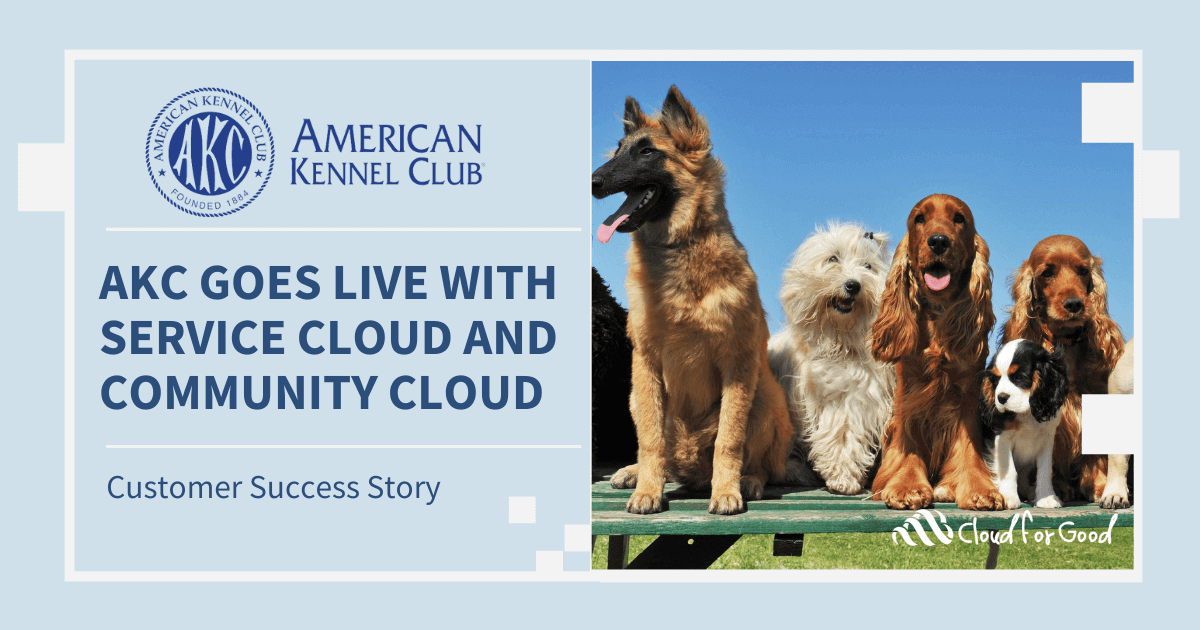 Celebrating National Dog Day: American Kennel Club Goes Live with Service  Cloud and Community Cloud - Cloud for Good