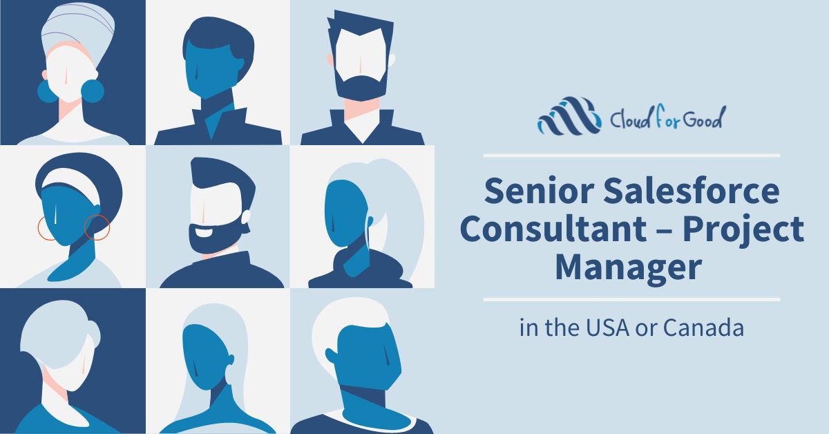 Senior Salesforce Consultant – Project Manager