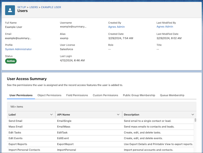 Dashboard displaying a summary of a Salesforce user's access and permissions settings.