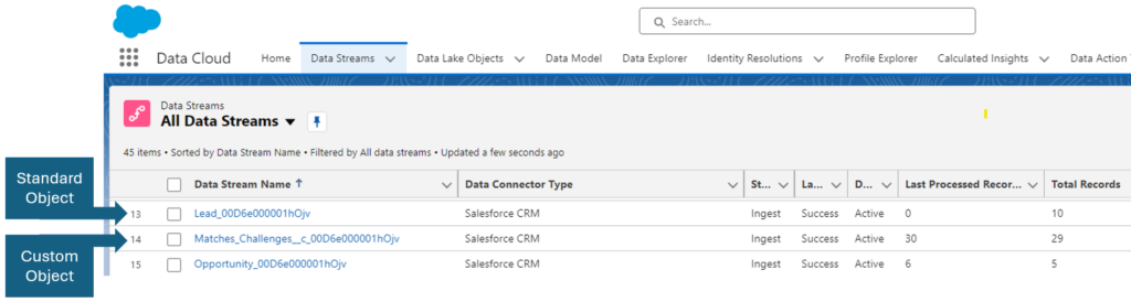 Interface in Salesforce Data Cloud's data ingestion process showing the API names of connected data stream options, data connector types, and custom and standard objects