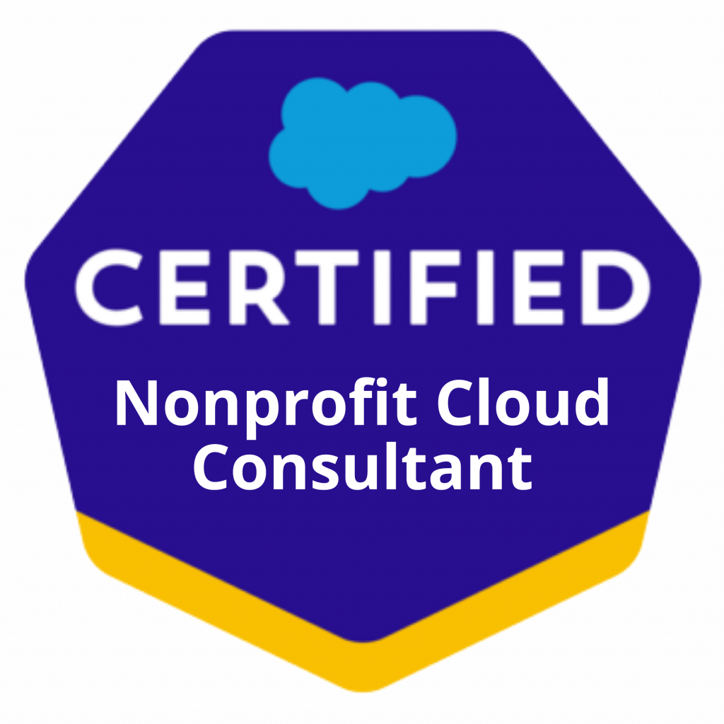 Nonprofit Cloud Consultant