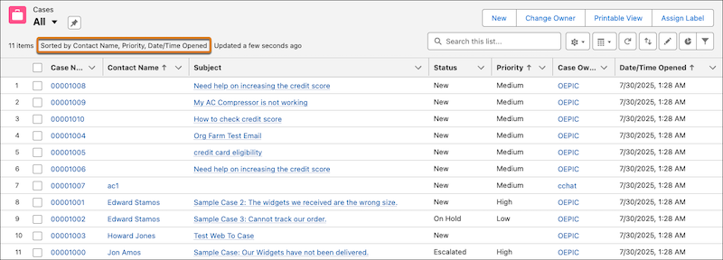 Sort List View by Multiple Columns: Salesforce interface displaying multiple columns after the new Column Sort view feature is applied.
