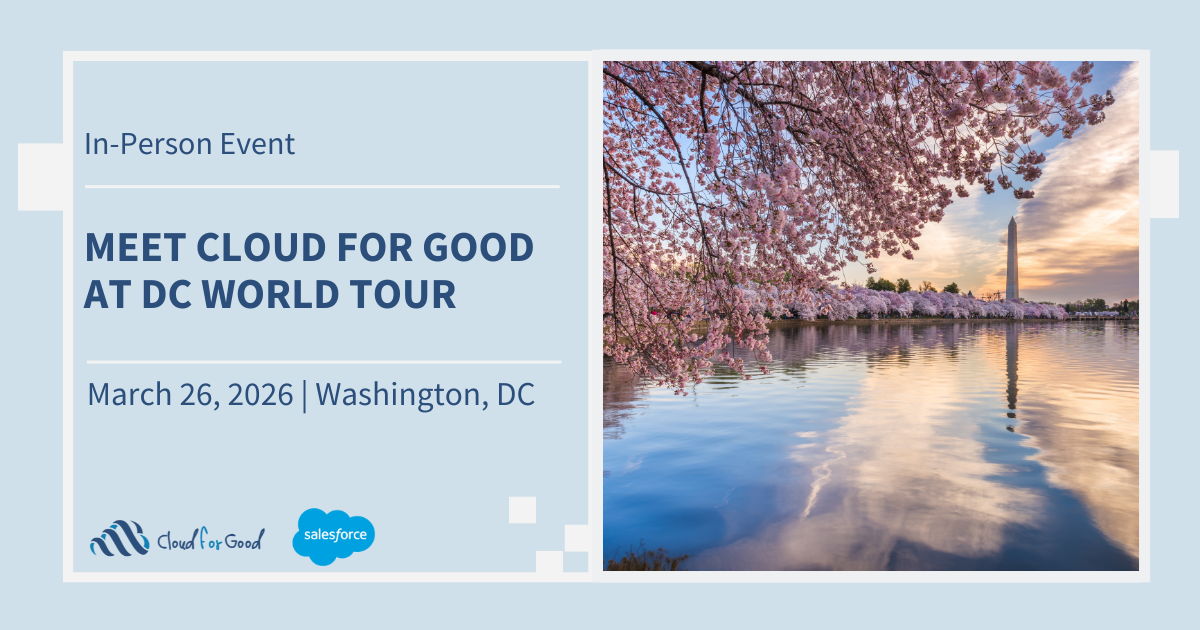 cherry blossoms in DC